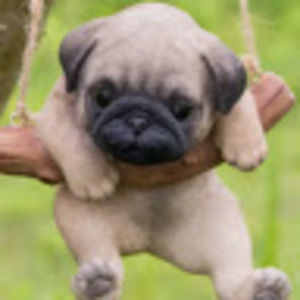 Meet your Posher, Stella